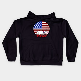 America Shirt 4th of July Patriotic T-shirt holiday Kids Hoodie